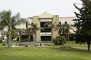 centro white